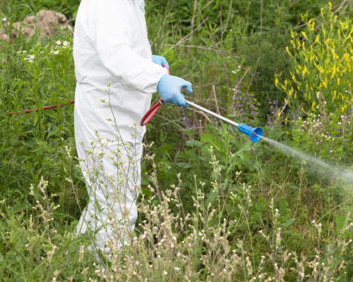 Weed Control & Management